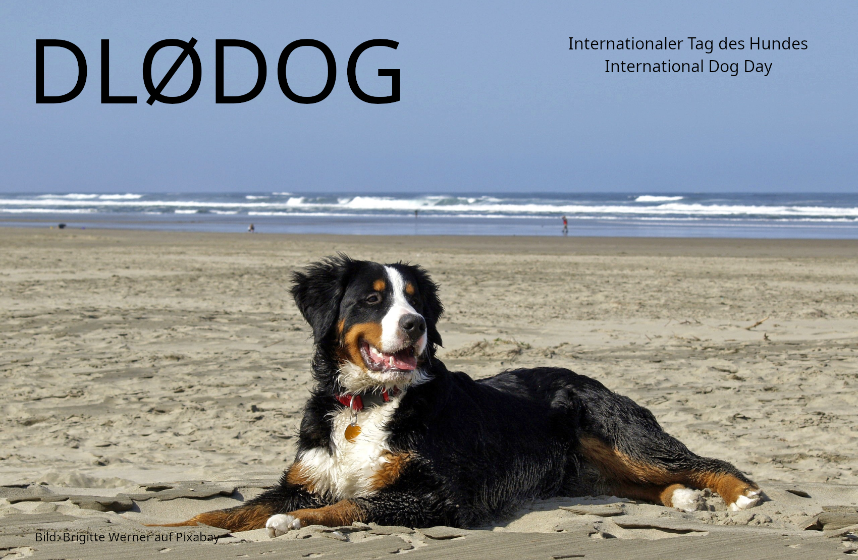 QSL-Karte DL0DOG